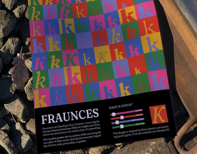 une affiche réalisé avec la typo Fraunces